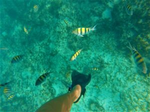 Snorkeling Messico