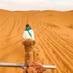 Tour Deserto del Sahara con cammello in Marocco