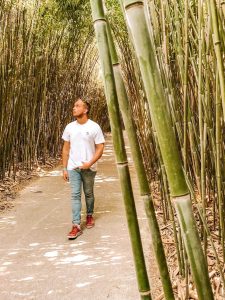 Labirinto della nasone bambù